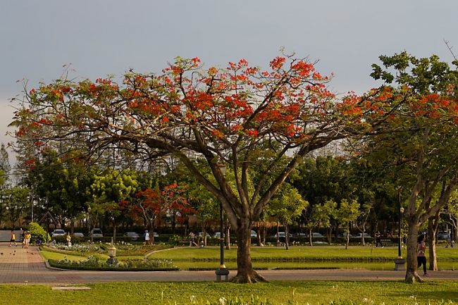 Suan Luang-JUN14-121
